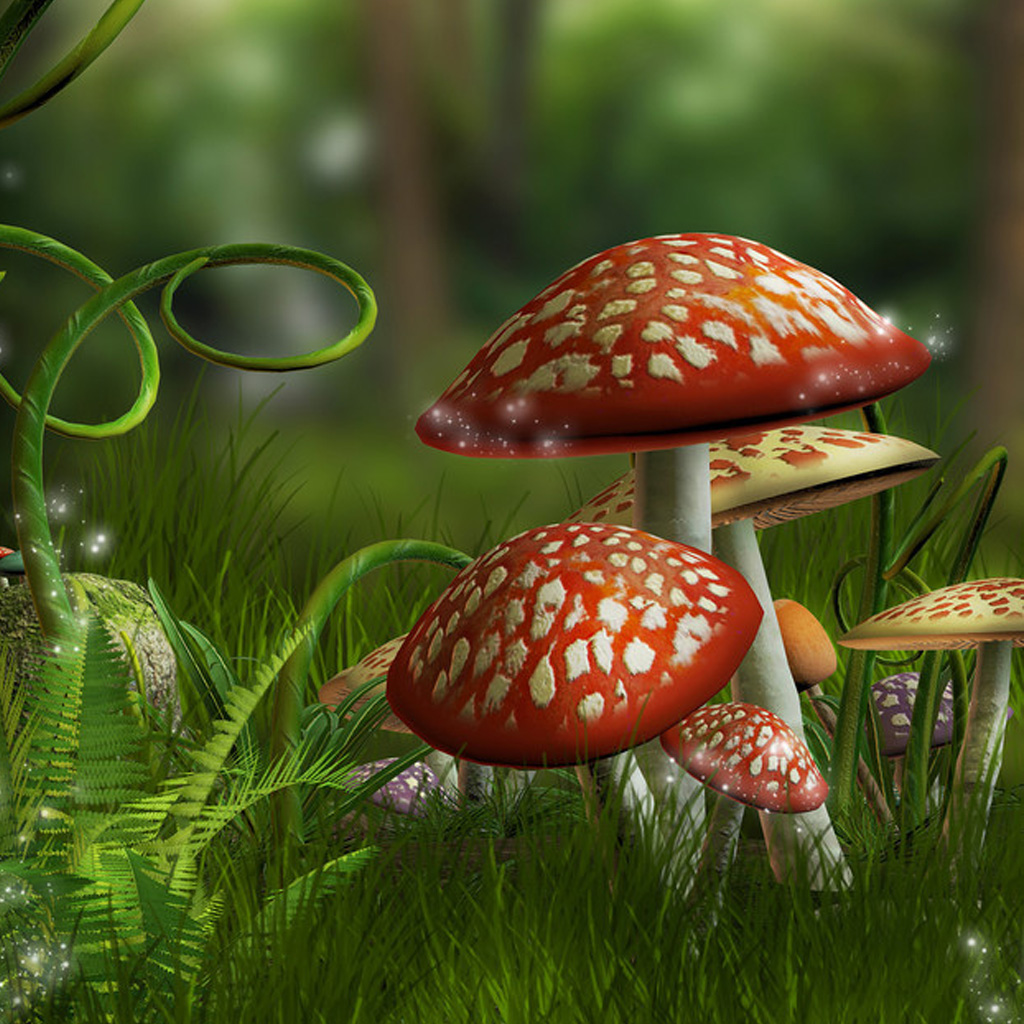 3d 버섯 정원 라이브 배경 화면,버섯,들 버섯,자연 경관,자연,진균류