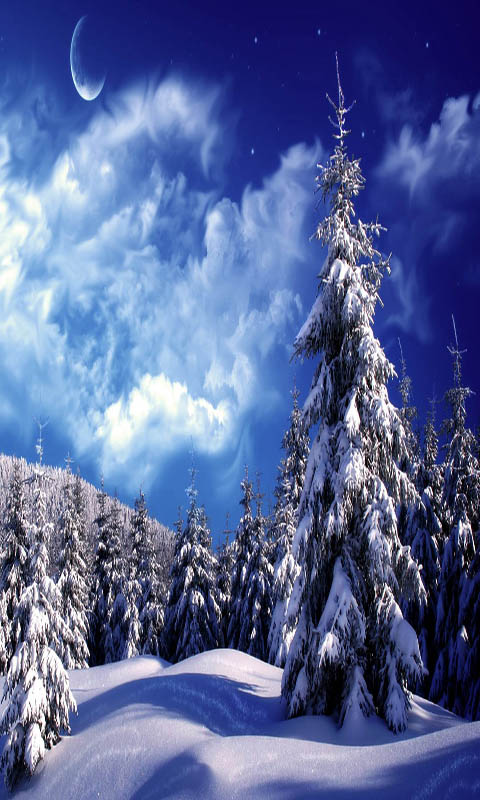 scenario live wallpaper,neve,inverno,natura,cielo,albero