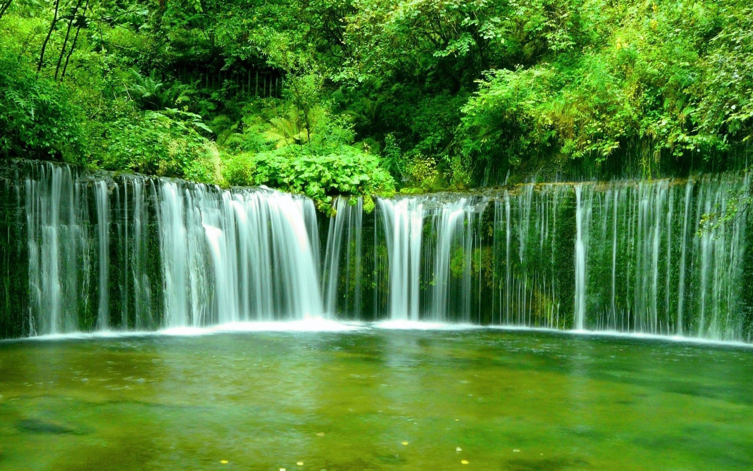 paysage live wallpaper,ressources en eau,cascade,plan d'eau,paysage naturel,la nature