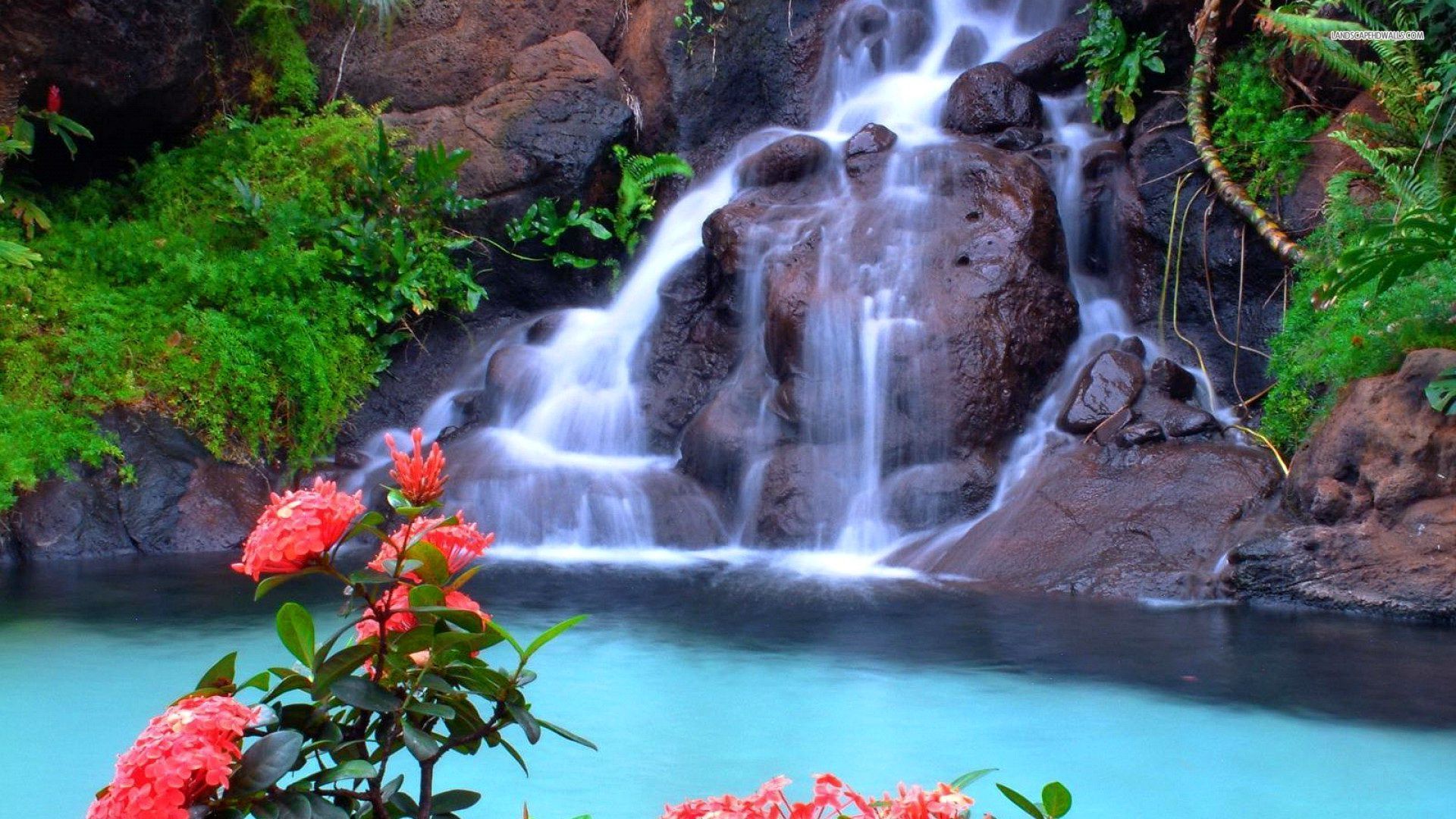 most beautiful live wallpaper,waterfall,water resources,body of water,natural landscape,nature