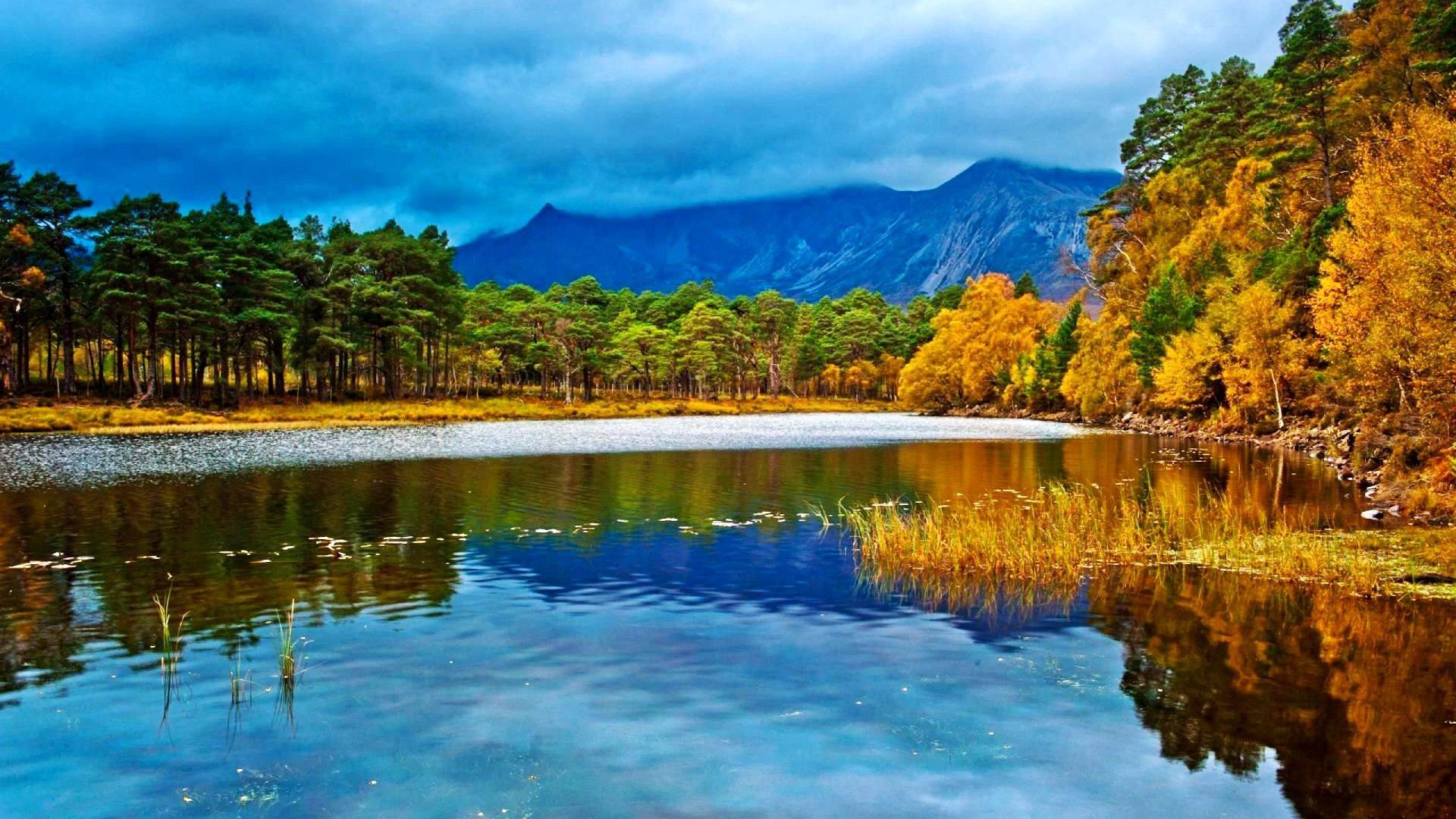 風景デスクトップ壁紙,自然の風景,自然,反射,水域,水