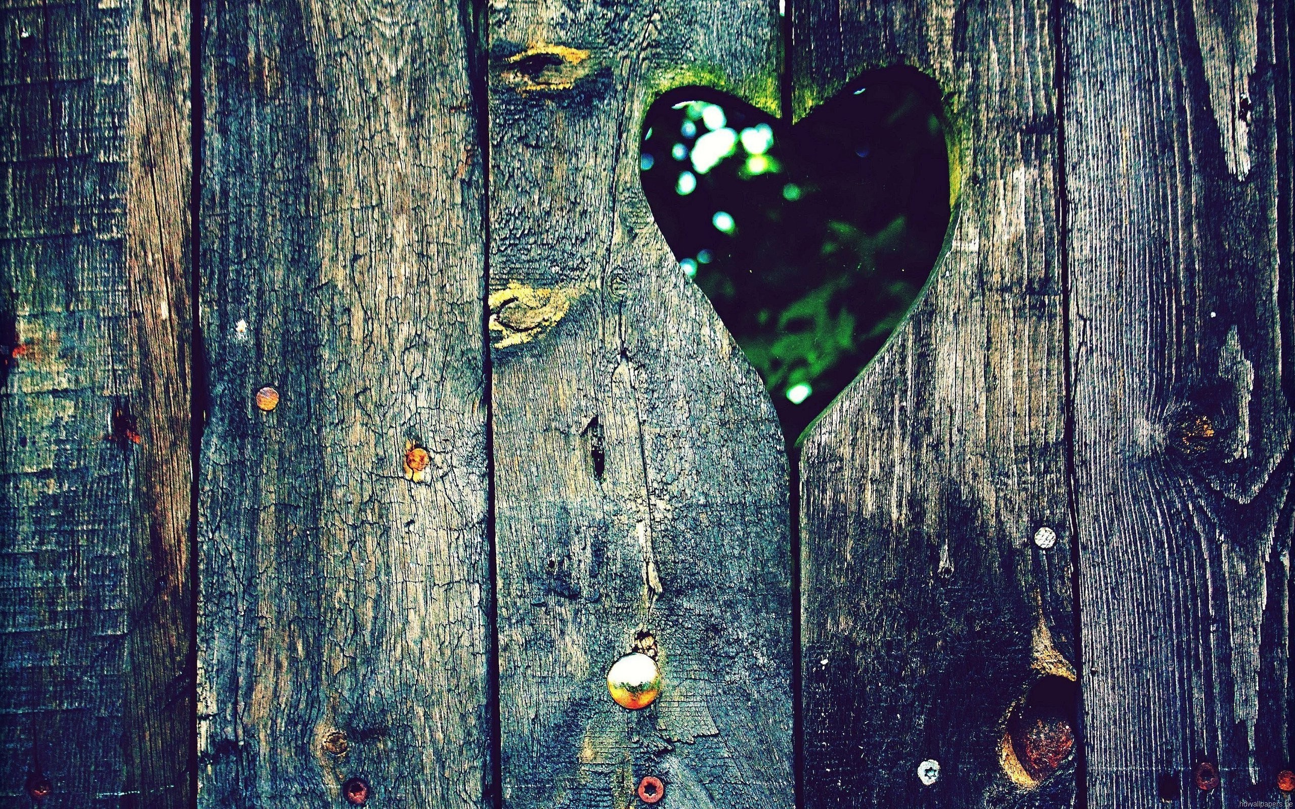 papel tapiz de escritorio vintage,verde,madera,hoja,corazón,árbol