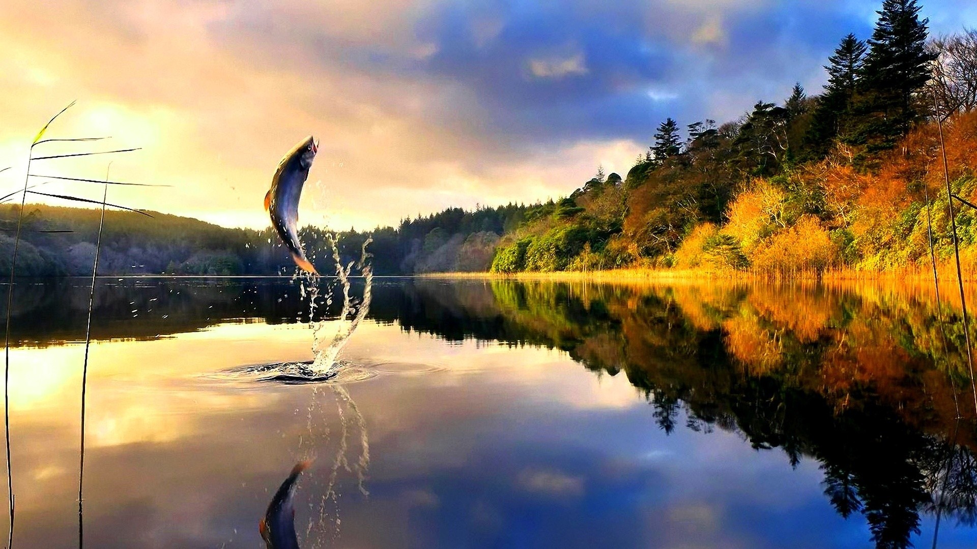 fishing desktop wallpaper,natural landscape,nature,reflection,sky,water