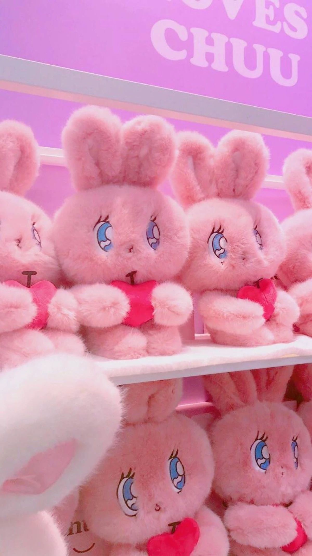 plush wallpaper,stuffed toy,pink,plush,teddy bear,toy
