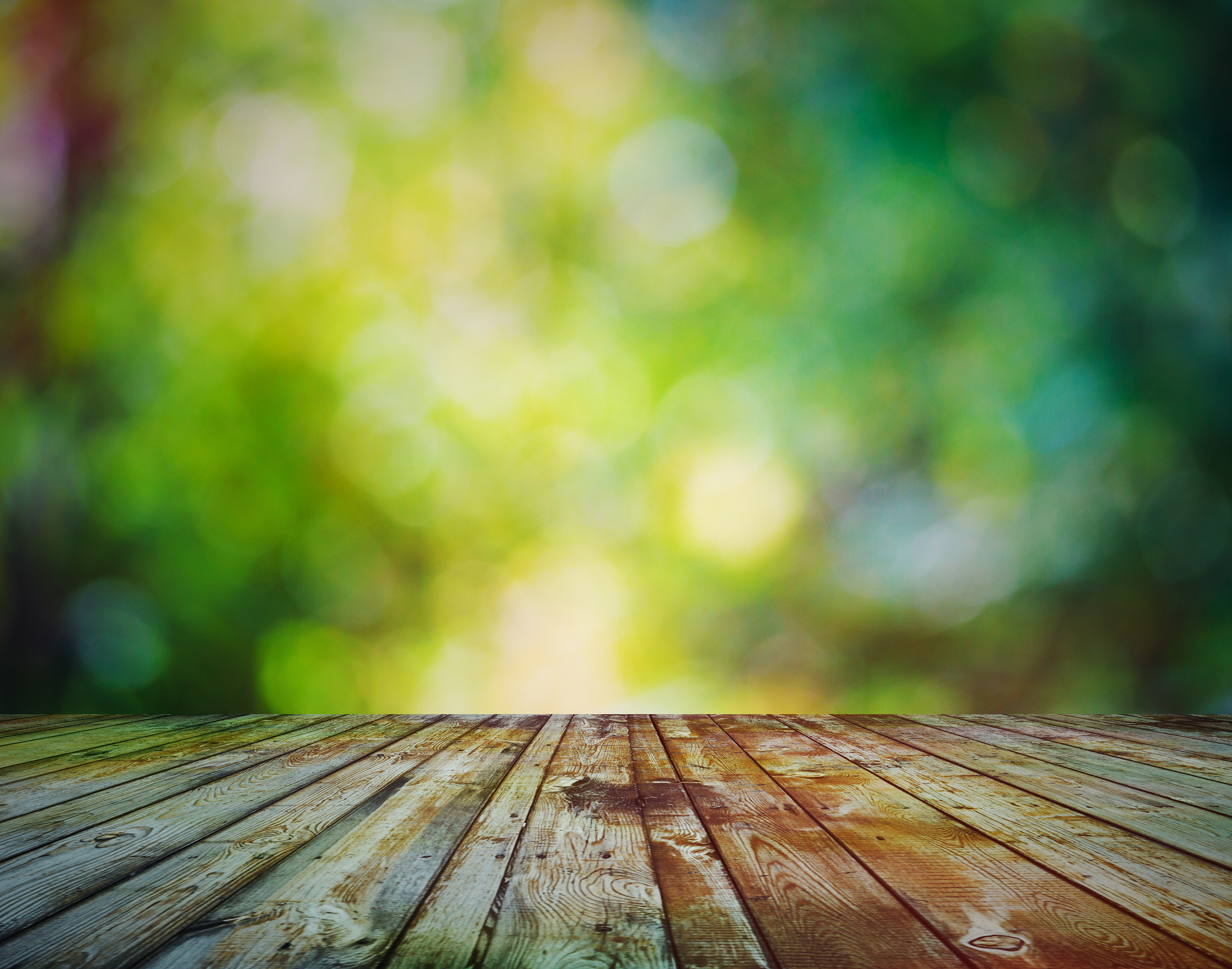 table top wallpaper,nature,green,natural landscape,wood,natural environment