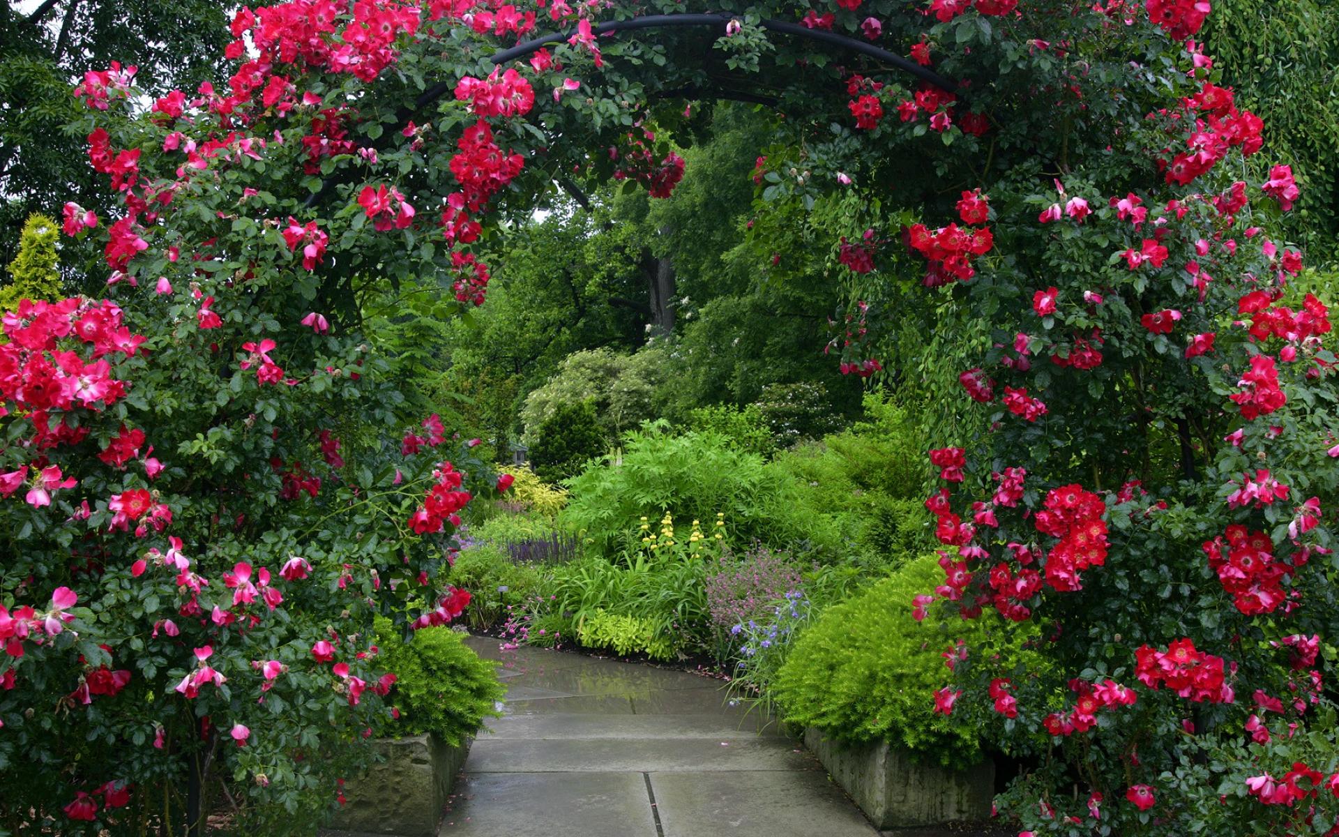 秘密の庭の壁紙,花,開花植物,工場,庭のバラ,庭園