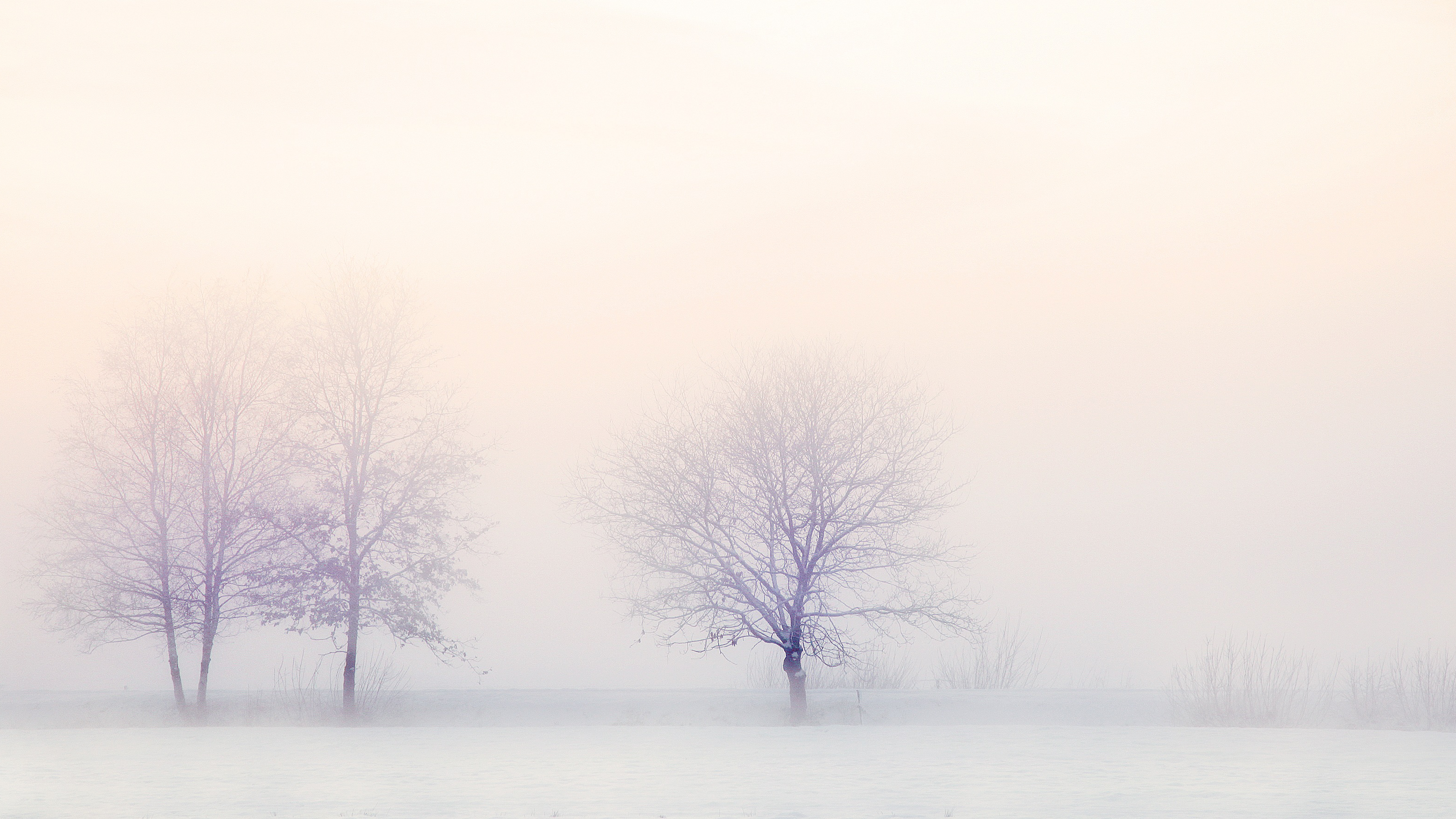 white on white wallpaper,sky,atmospheric phenomenon,fog,white,winter