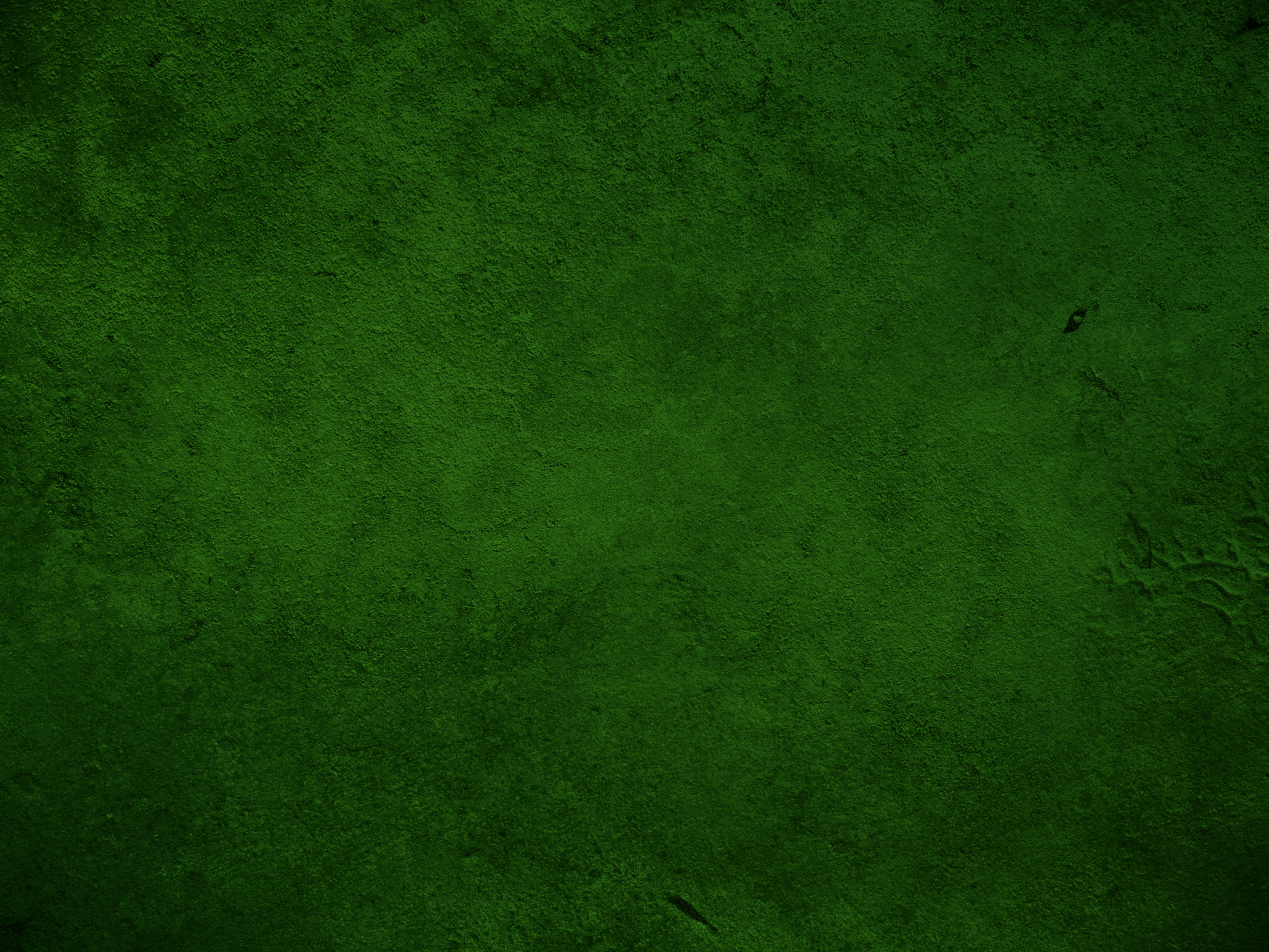 エメラルドグリーンの壁紙,緑,草,葉,工場,人工芝