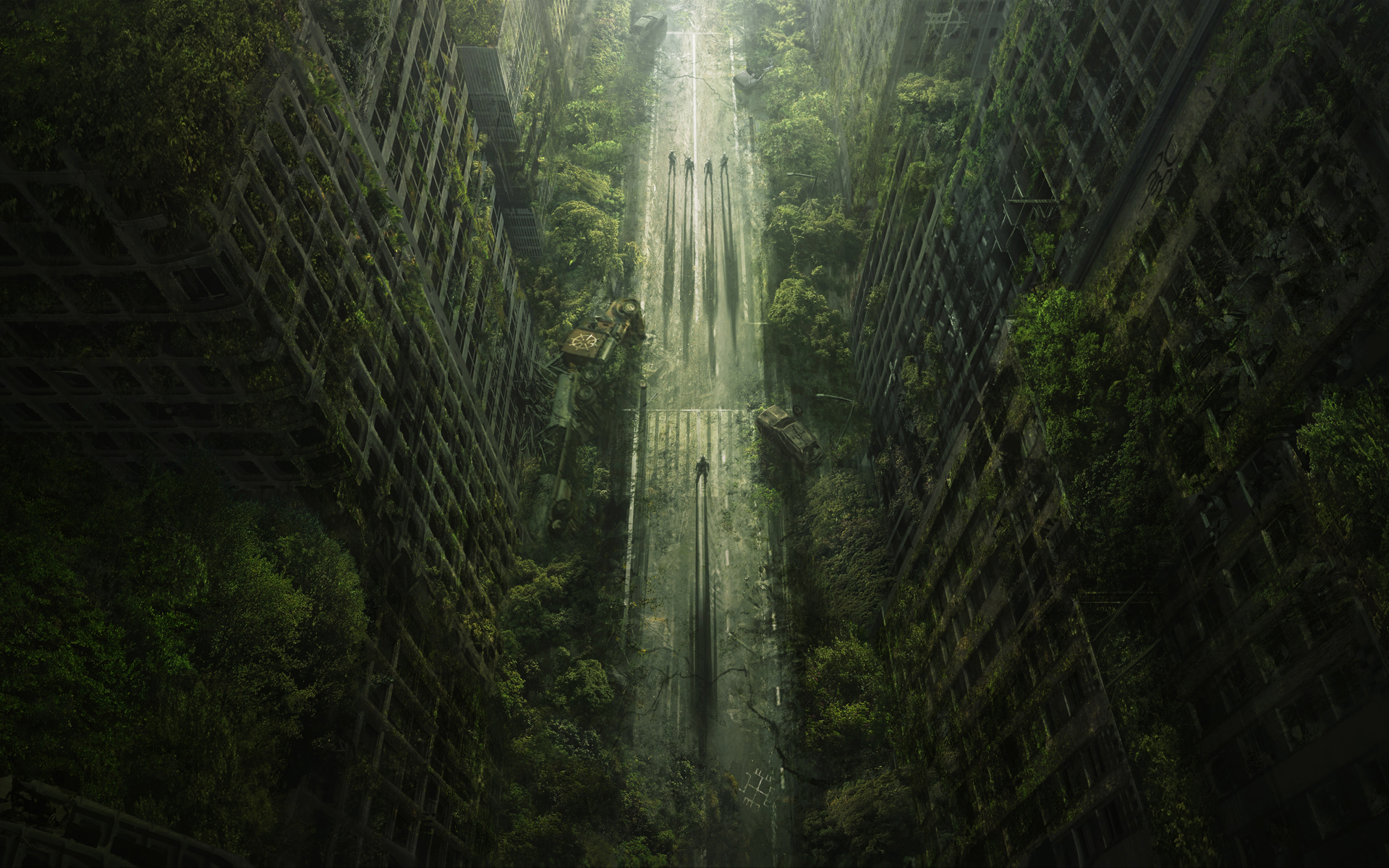 荒れ地の壁紙 自然 緑 森林 古い成長林 密林 5335 Wallpaperuse 荒れ地の壁紙 自然 緑 森林 古い成長林 密林 5335 Wallpaperuse