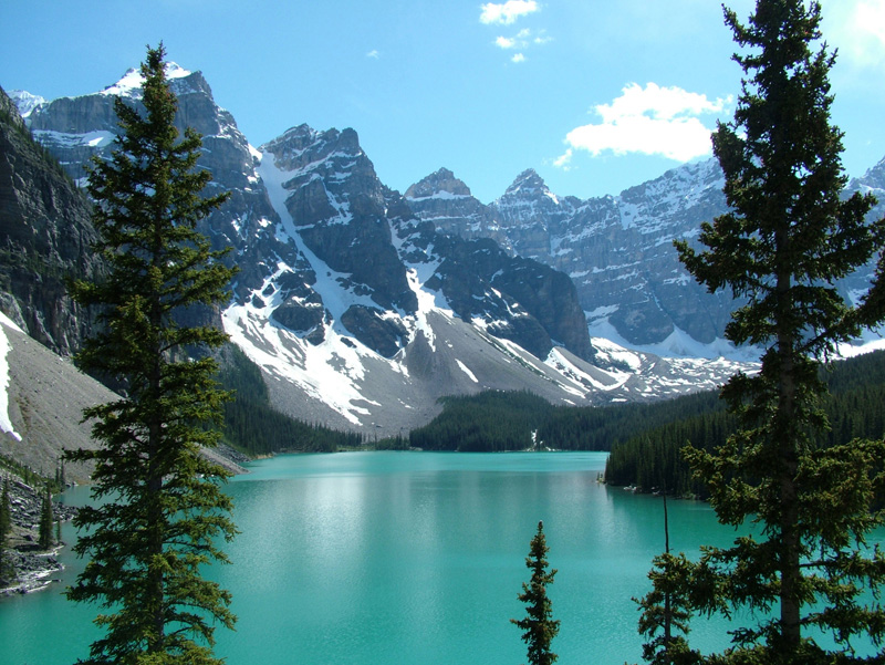 fond d'écran de diaporama photo,paysage naturel,montagne,la nature,lac glaciaire,mélèze larix lyalliisubalpine