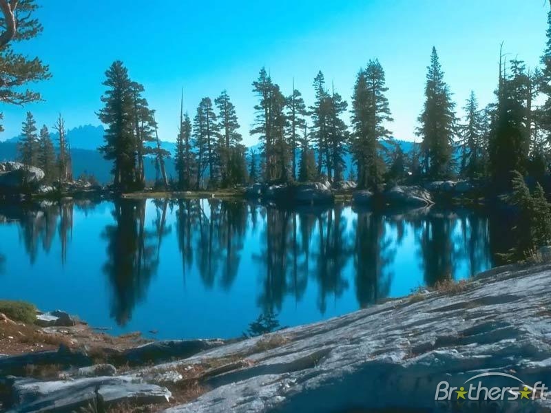 写真スライドショー壁紙,自然の風景,自然,水域,反射,木