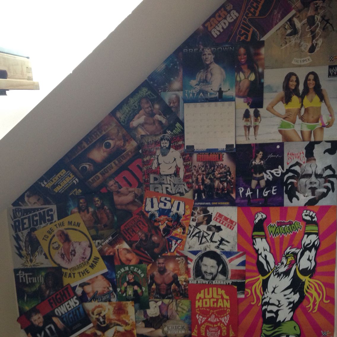 wwe bedroom wallpaper,wall,art,street art,mural,graffiti