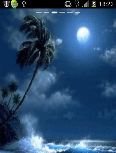 new version wallpaper,sky,nature,screenshot,atmosphere,palm tree