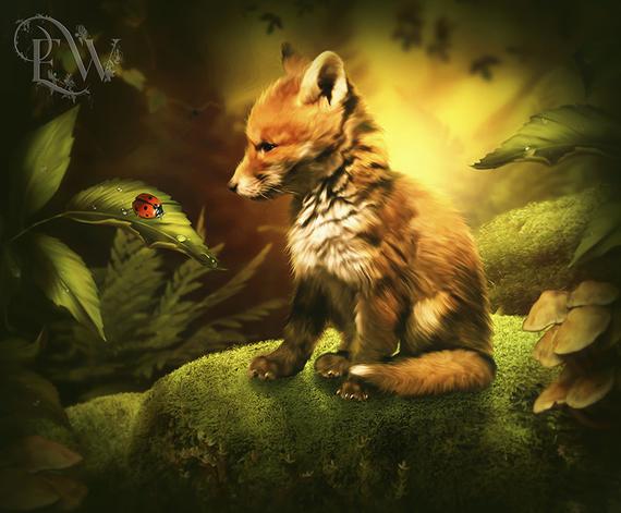 fantasy animal wallpaper,wildlife,felidae,cat,carnivore,organism