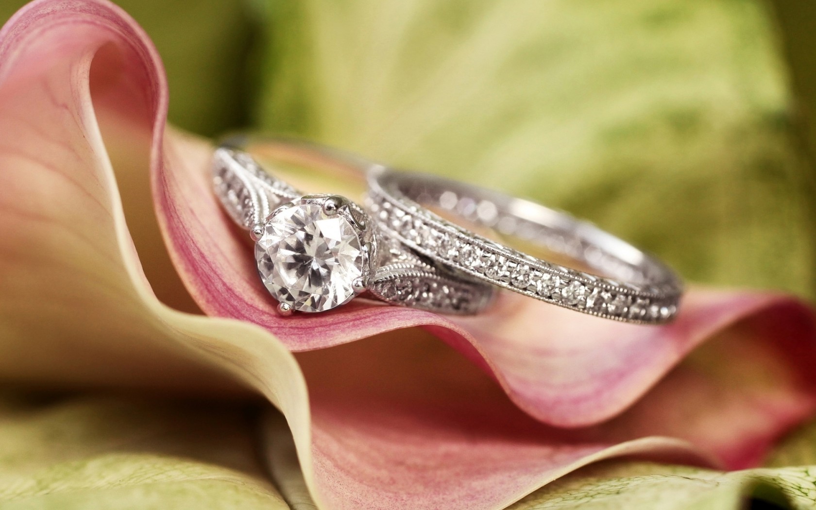 ring wallpaper hd,ring,jewellery,engagement ring,pre engagement ring