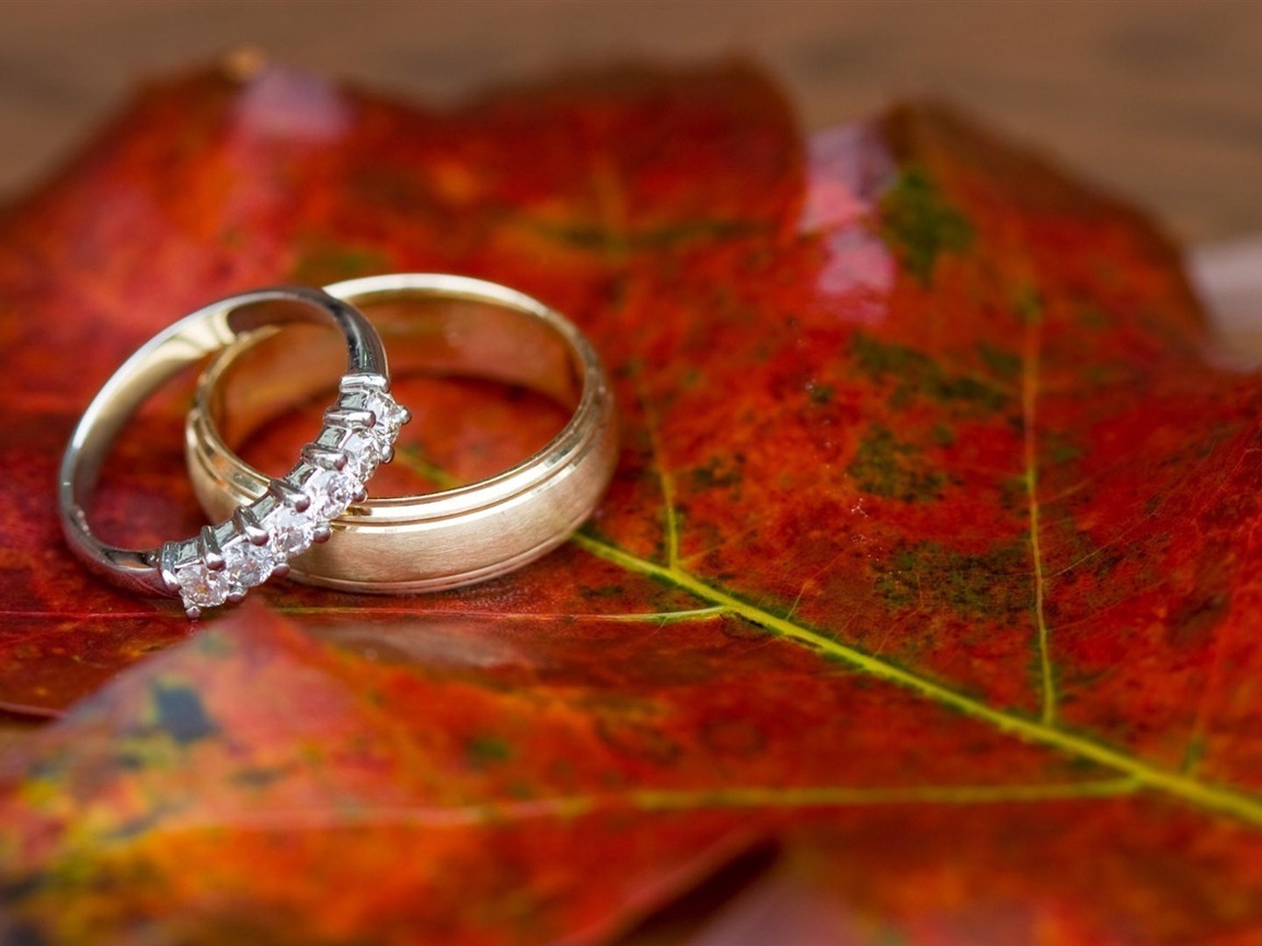 사랑 반지 벽지 hd,잎,빨간,반지,바디 쥬얼리,결혼 반지