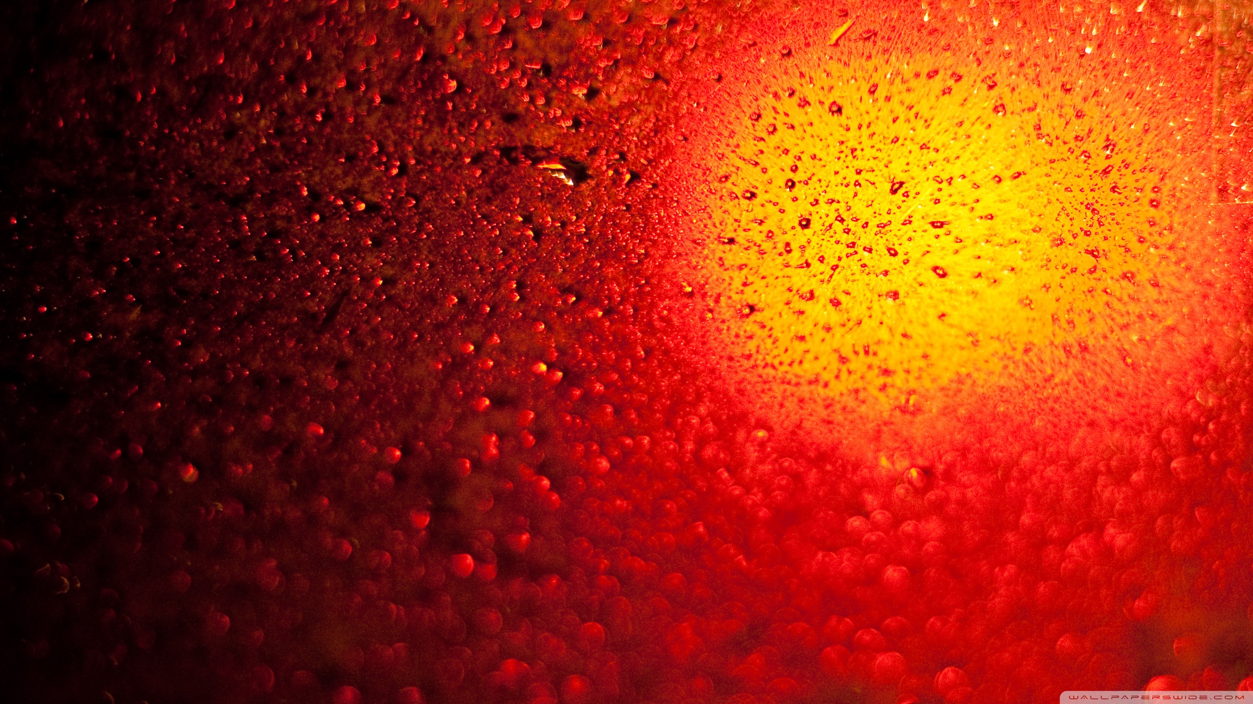 빨간 벽지 hd 다운로드,빨간,주황색,물,화려 함,매크로 사진