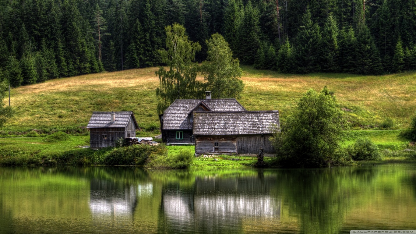 家の壁紙写真,自然の風景,自然,反射,水,木