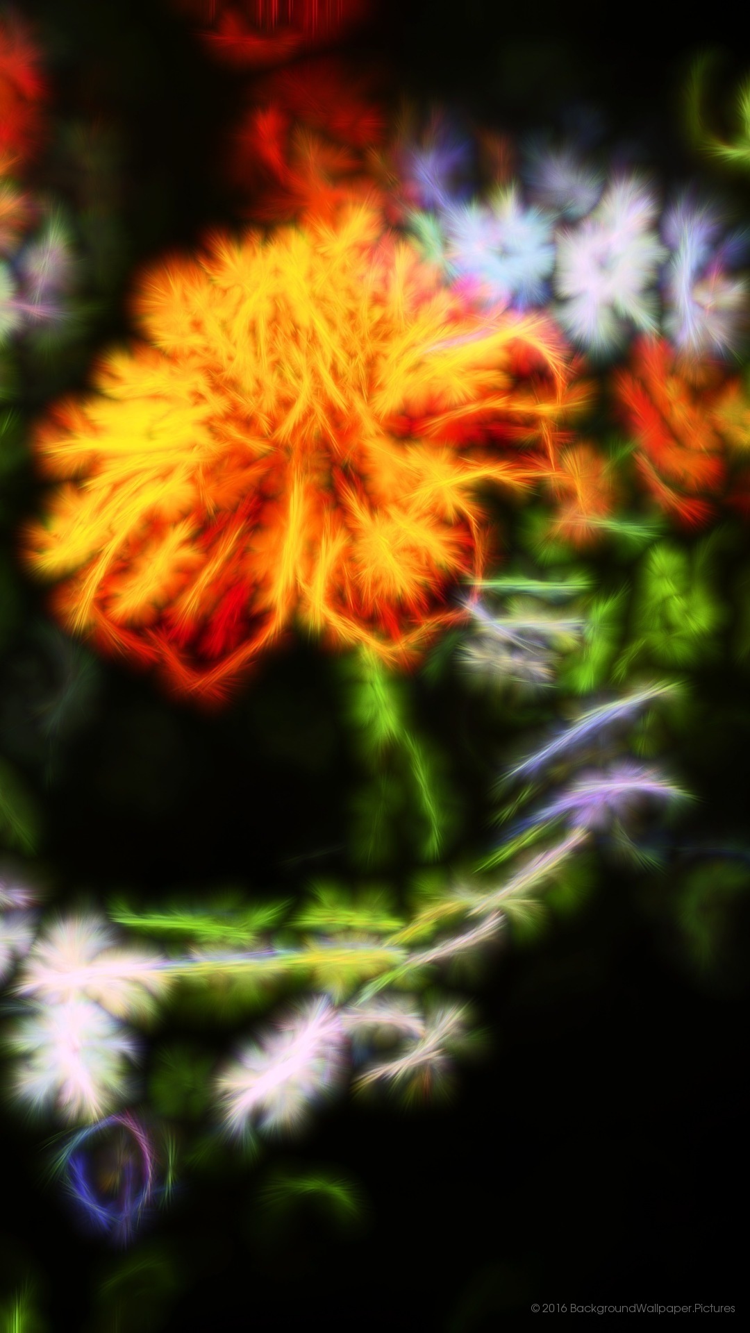 lyf mobile wallpaper hd,nature,orange,sky,flower,plant