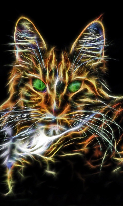 lyf mobile wallpaper hd,felidae,cat,whiskers,small to medium sized cats,fractal art