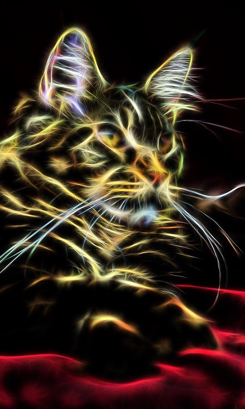 lyf mobile fondos de pantalla hd,gato,bigotes,felidae,gatos pequeños a medianos,arte fractal