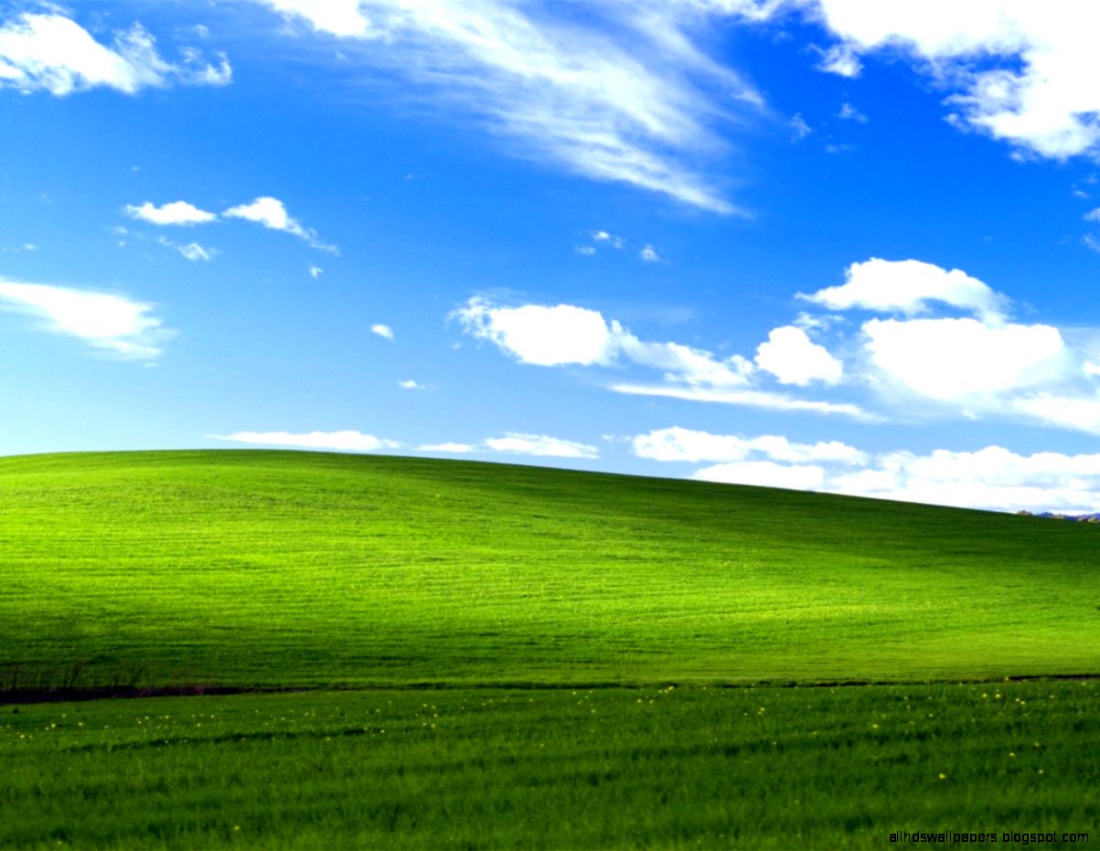 classic desktop wallpaper,grassland,green,sky,natural landscape,nature