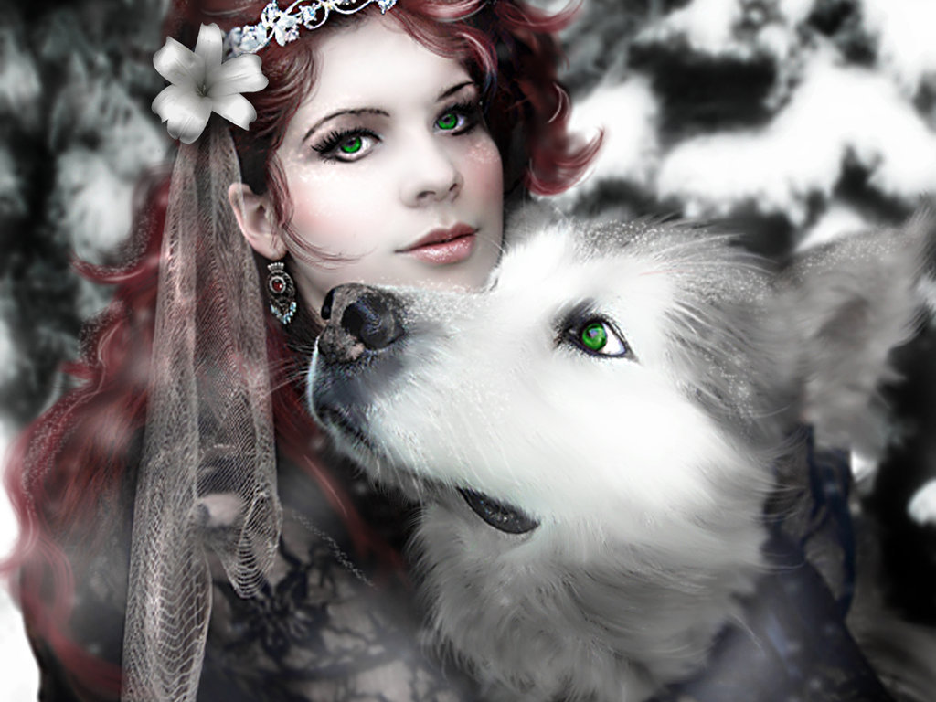 papier peint femme,husky sibérien,beauté,chien,malamute d'alaska,œil