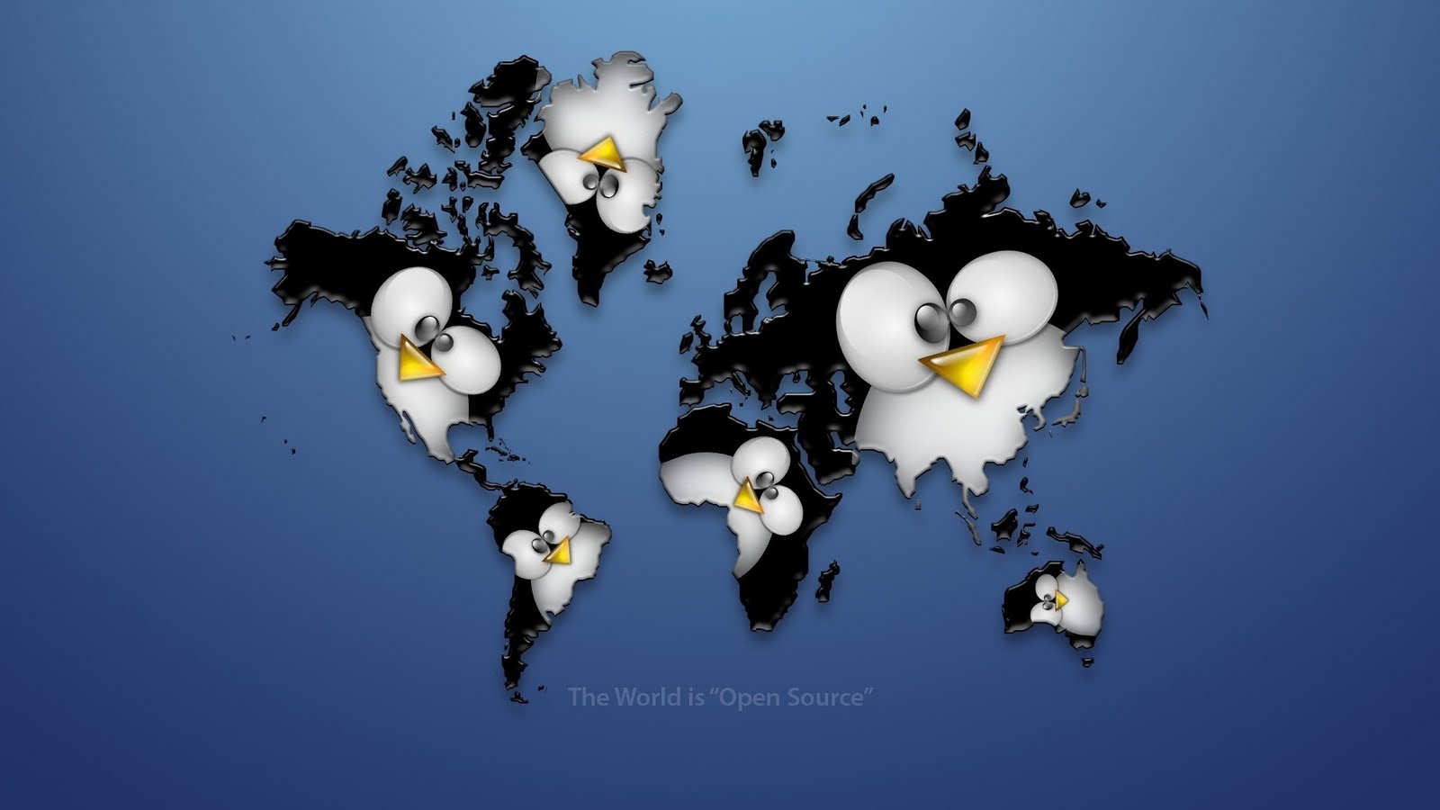 linux desktop hintergrund,vogel,flugunfähiger vogel