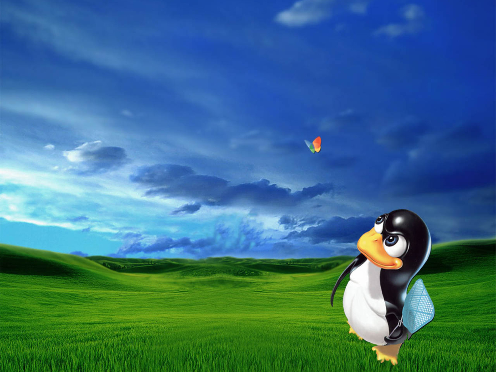 fond d'écran linux,oiseau,ciel,oiseau incapable de voler,paysage naturel,dessin animé