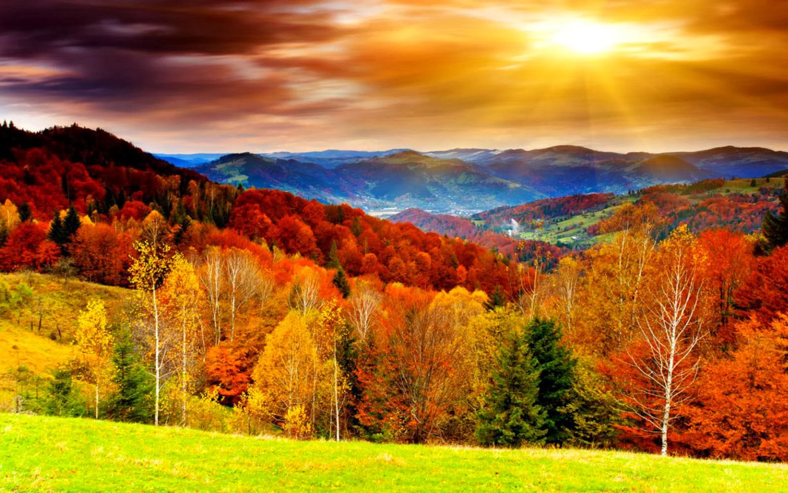 free fall desktop wallpaper,natural landscape,nature,sky,leaf,wilderness