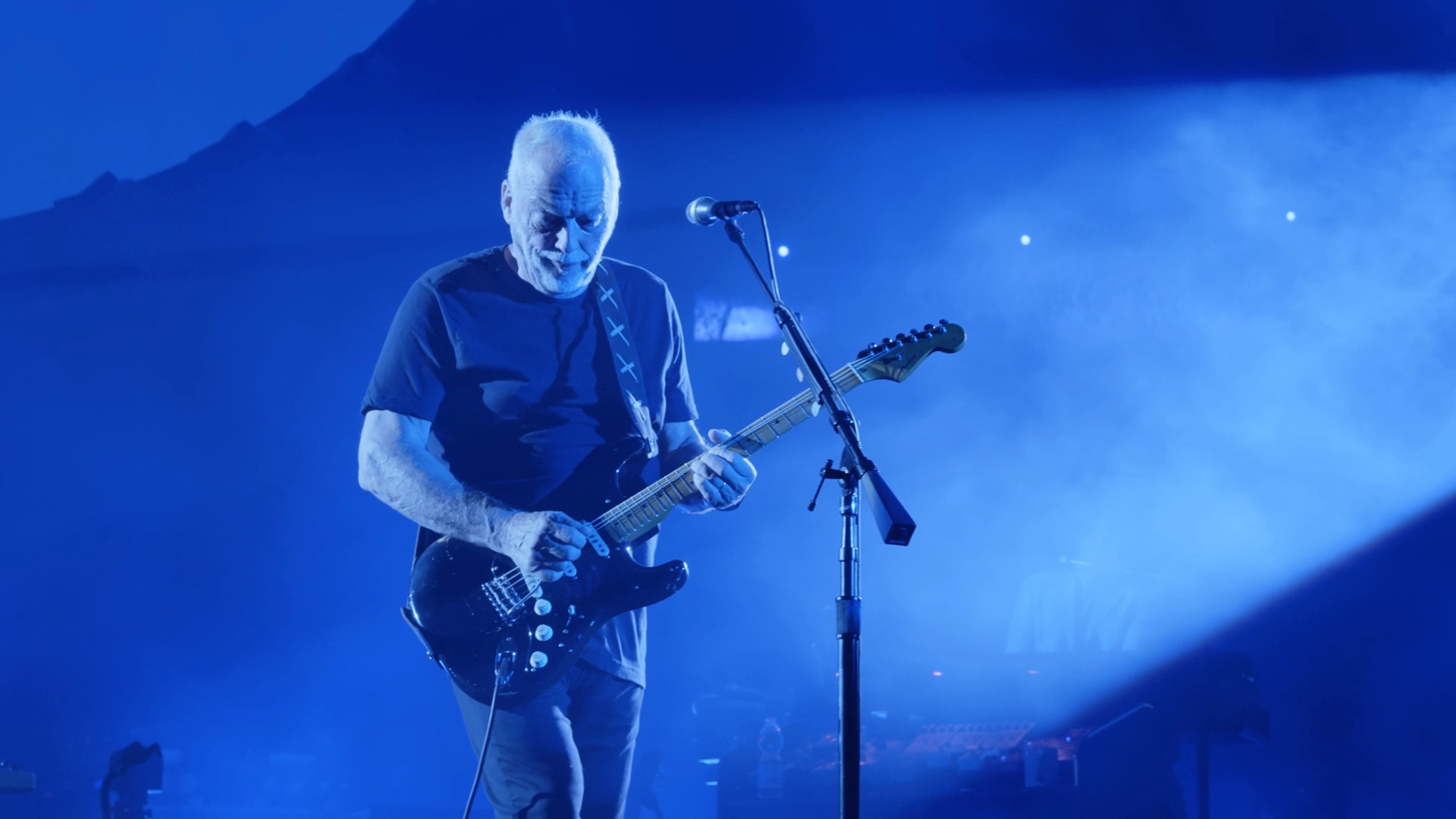 carta da parati david gilmour,prestazione,divertimento,musicista,musica,concerto