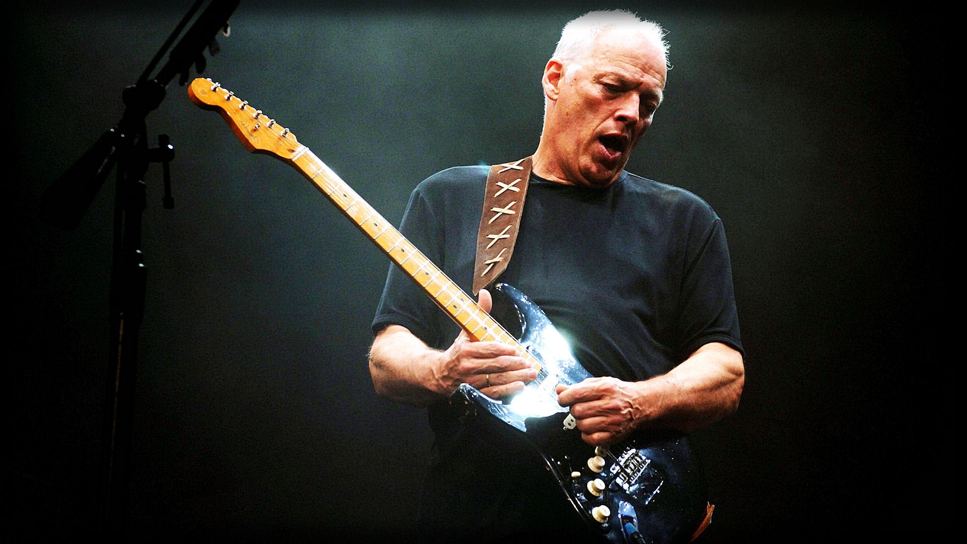 carta da parati david gilmour,strumento musicale,musicista,musica,strumenti a corda pizzicati,chitarrista