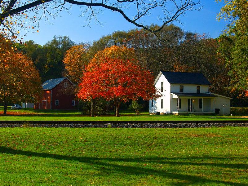 farm scene wallpaper,natural landscape,nature,home,property,leaf