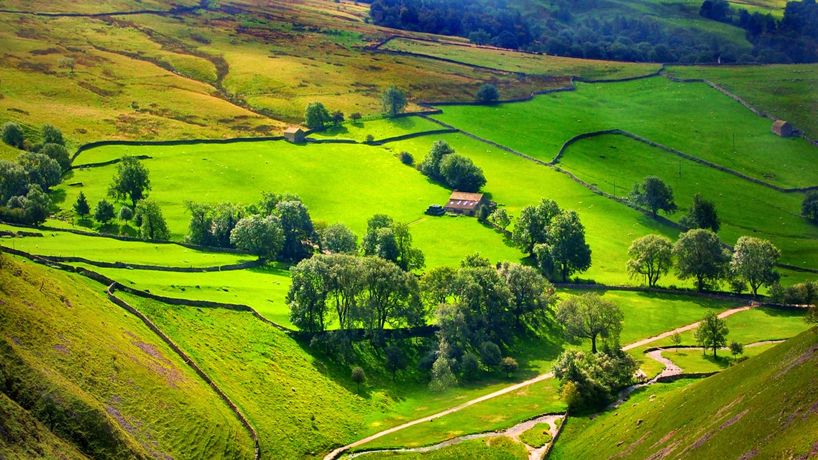 englische landschaft tapete,natürliche landschaft,grün,natur,wiese,hügel