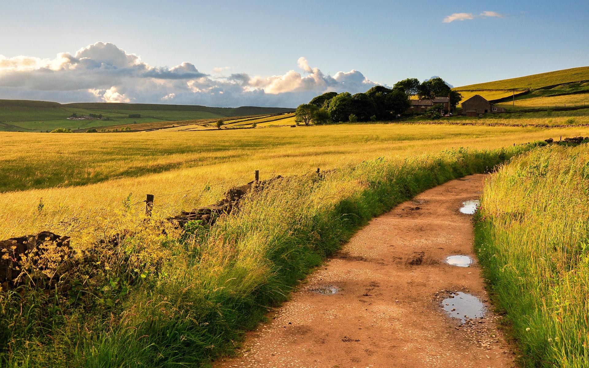 イギリスの田舎の壁紙,自然の風景,草原,自然,未舗装の道路,草