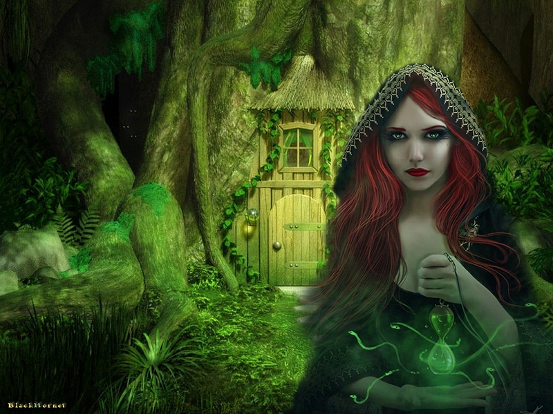 fondo de pantalla de brujería,verde,naturaleza,cg artwork,selva,bosque
