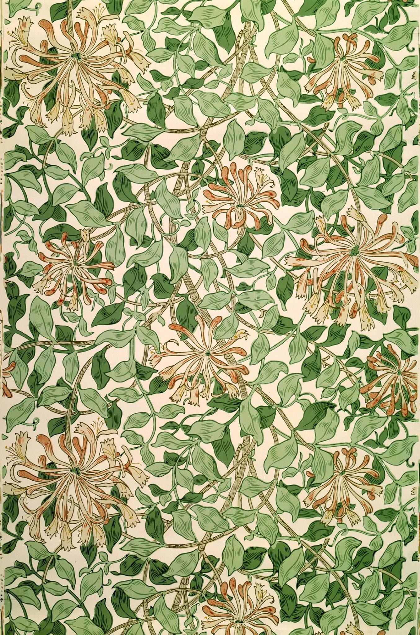 arsenic wallpaper,pattern,plant,rug,textile,flower