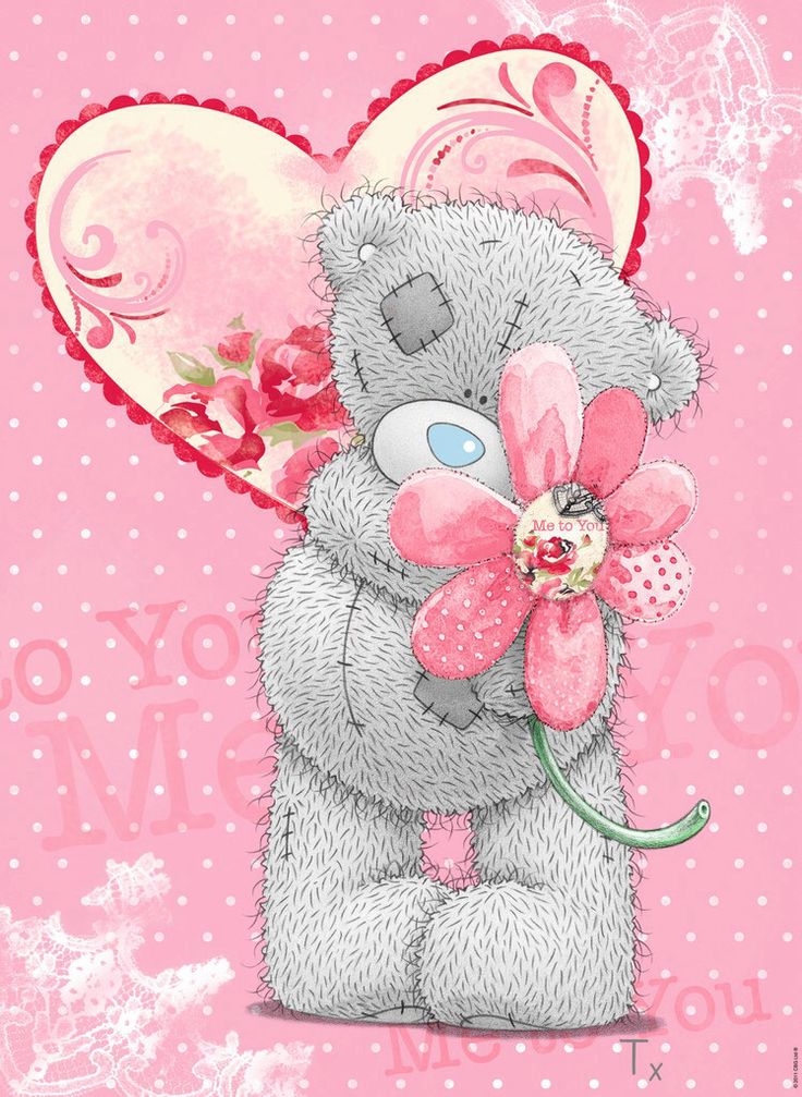 me to you bear wallpaper,pink,illustration,plant,art