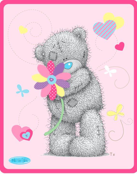 me to you bear wallpaper,pink,toy,teddy bear