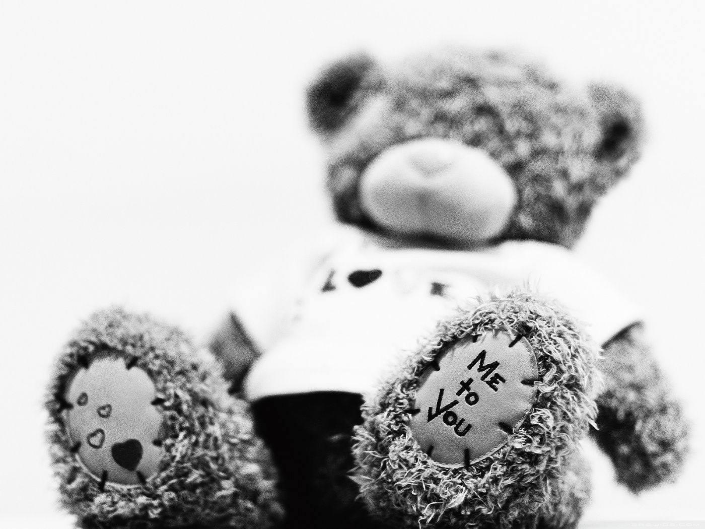 yo a ti oso fondo de pantalla,oso de peluche,peluche,blanco,juguete,en blanco y negro