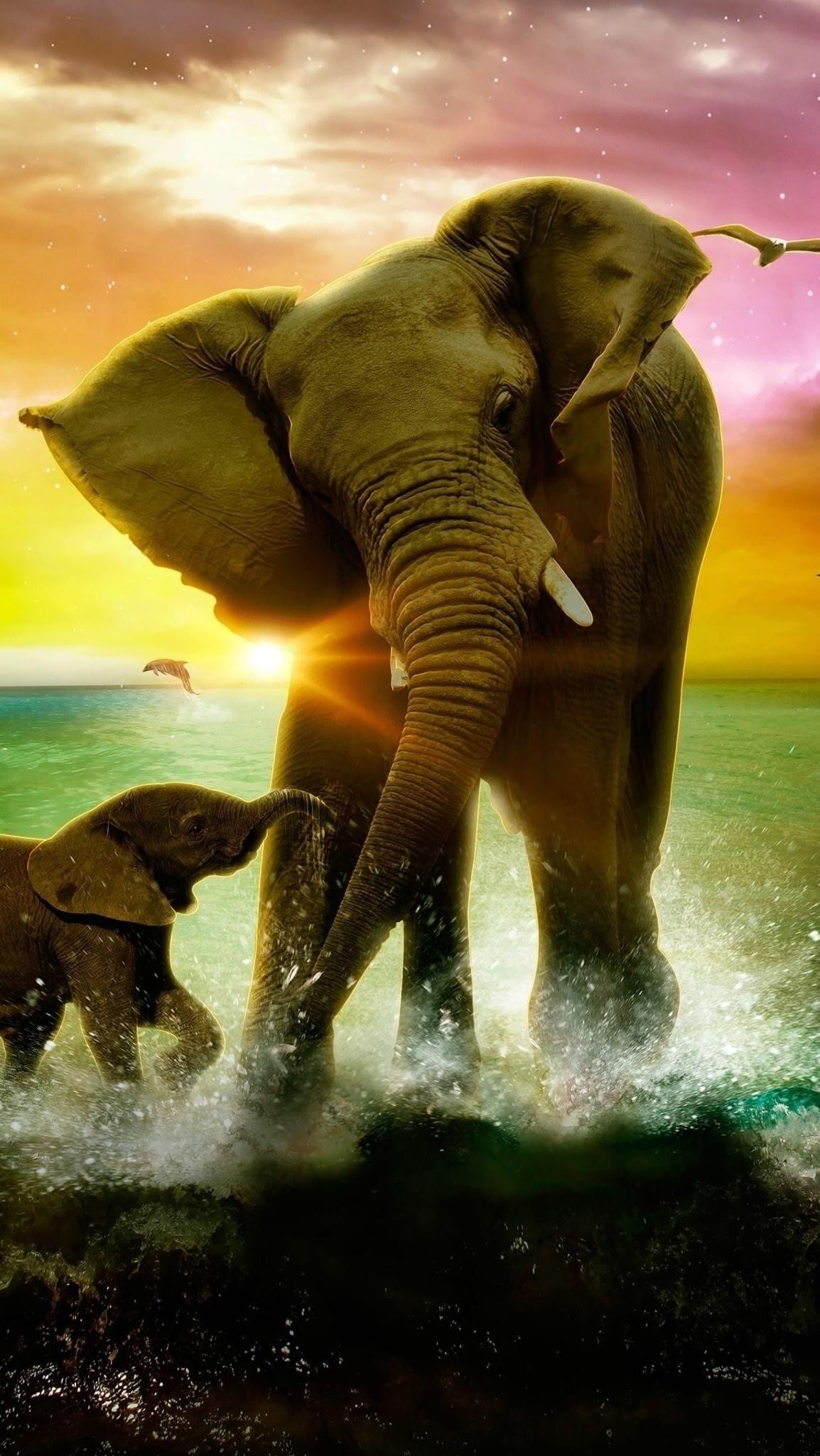 象のiphoneの壁紙,象,象とマンモス,アフリカゾウ,野生動物,陸生動物
