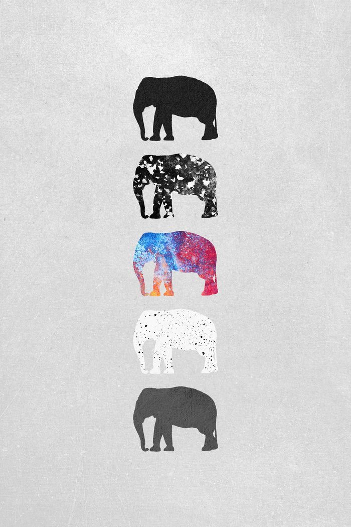 elefant iphone wallpaper,elefant,elefanten und mammuts,indischer elefant,rosa,afrikanischer elefant