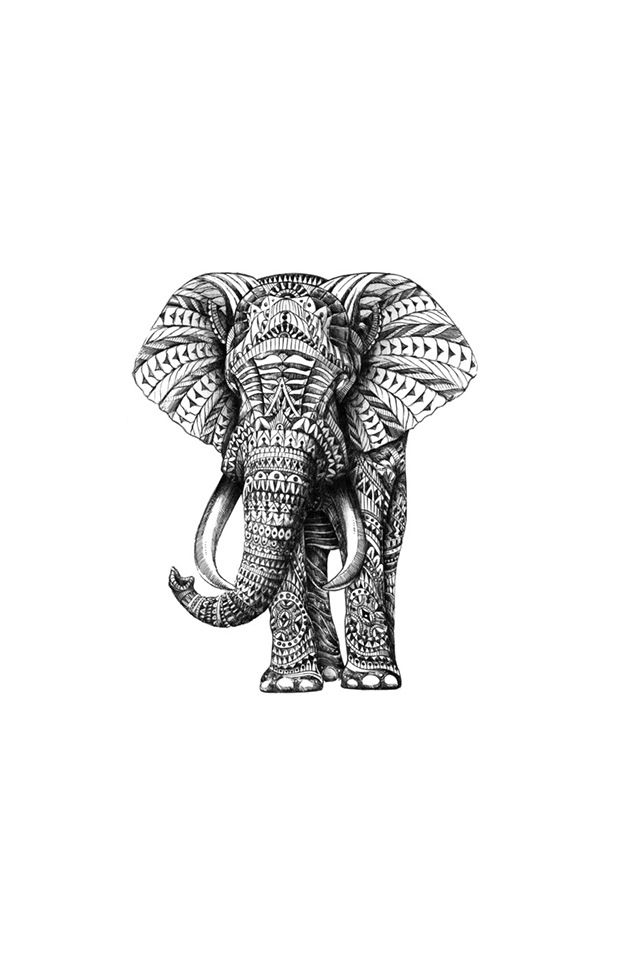 elephant iphone wallpaper,elephant,elephants and mammoths,indian elephant,african elephant,wildlife