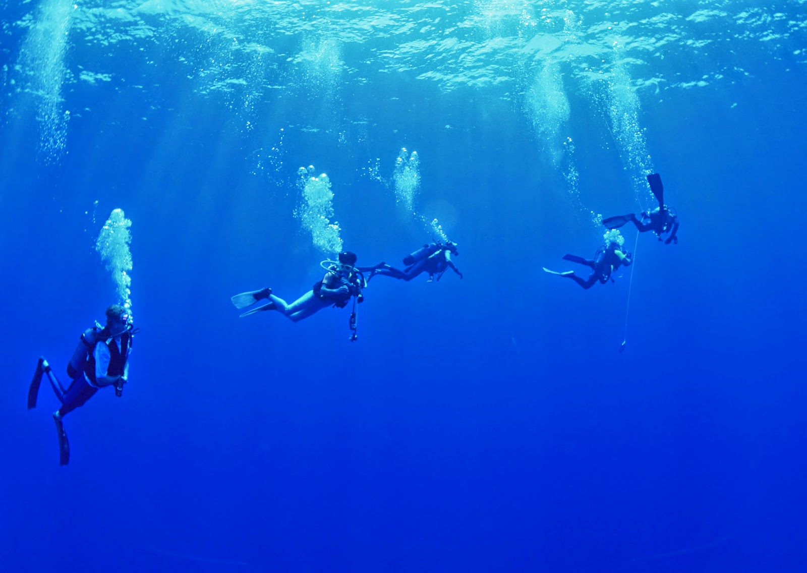 スキューバの壁紙,青い,水,水中,スキューバダイビング,海洋生物学