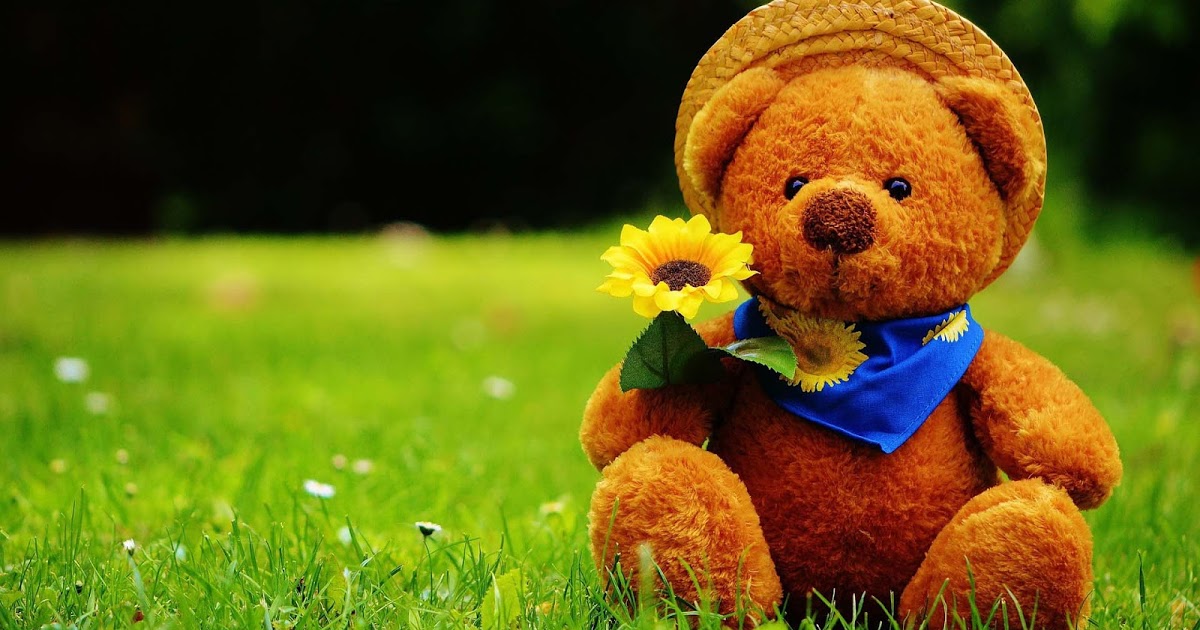 teddy wallpaper hd,teddy bear,stuffed toy,toy,plush,grass