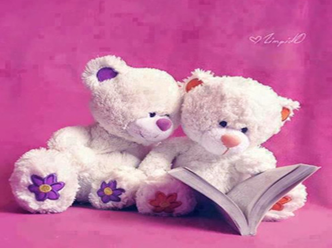 couple teddy bear wallpapers,stuffed toy,teddy bear,toy,pink,plush
