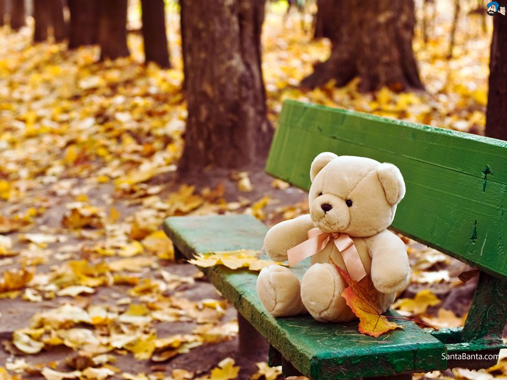 couple teddy bear wallpapers,teddy bear,leaf,toy,yellow,stuffed toy