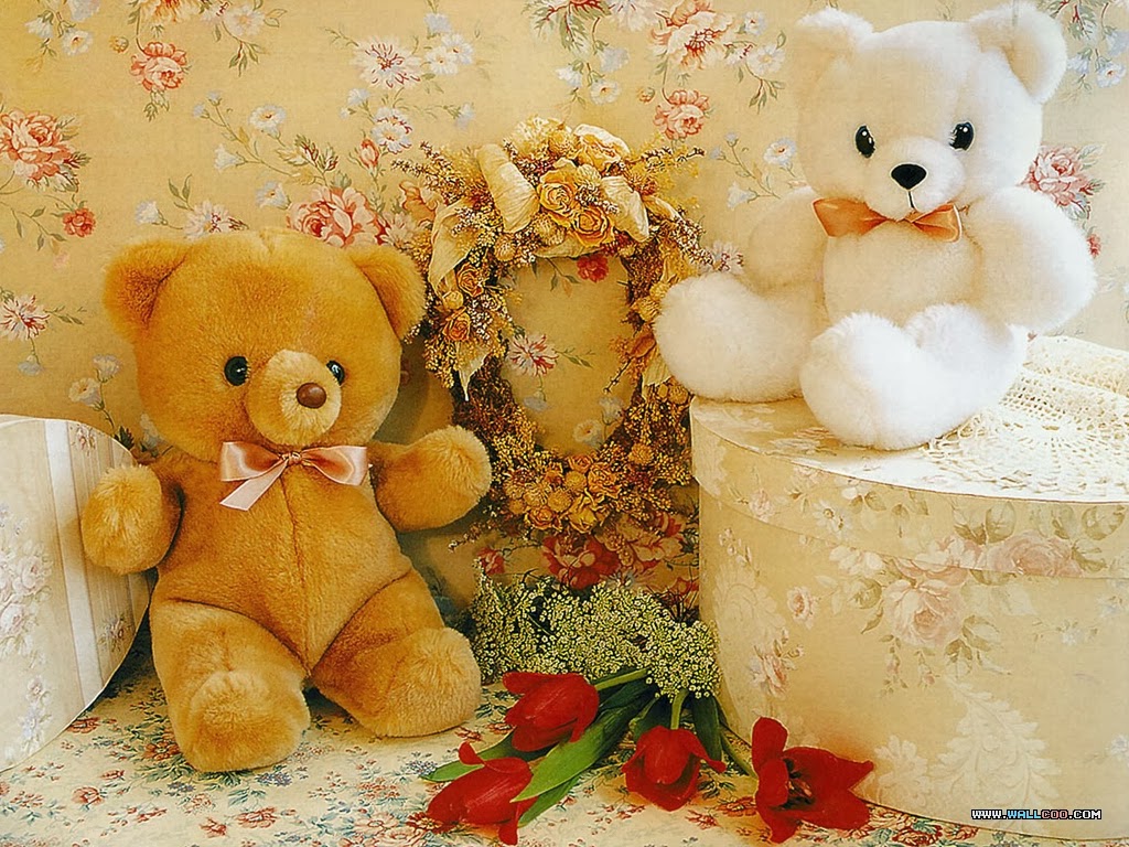 red teddy bear wallpaper,teddy bear,toy,stuffed toy,plush,plant