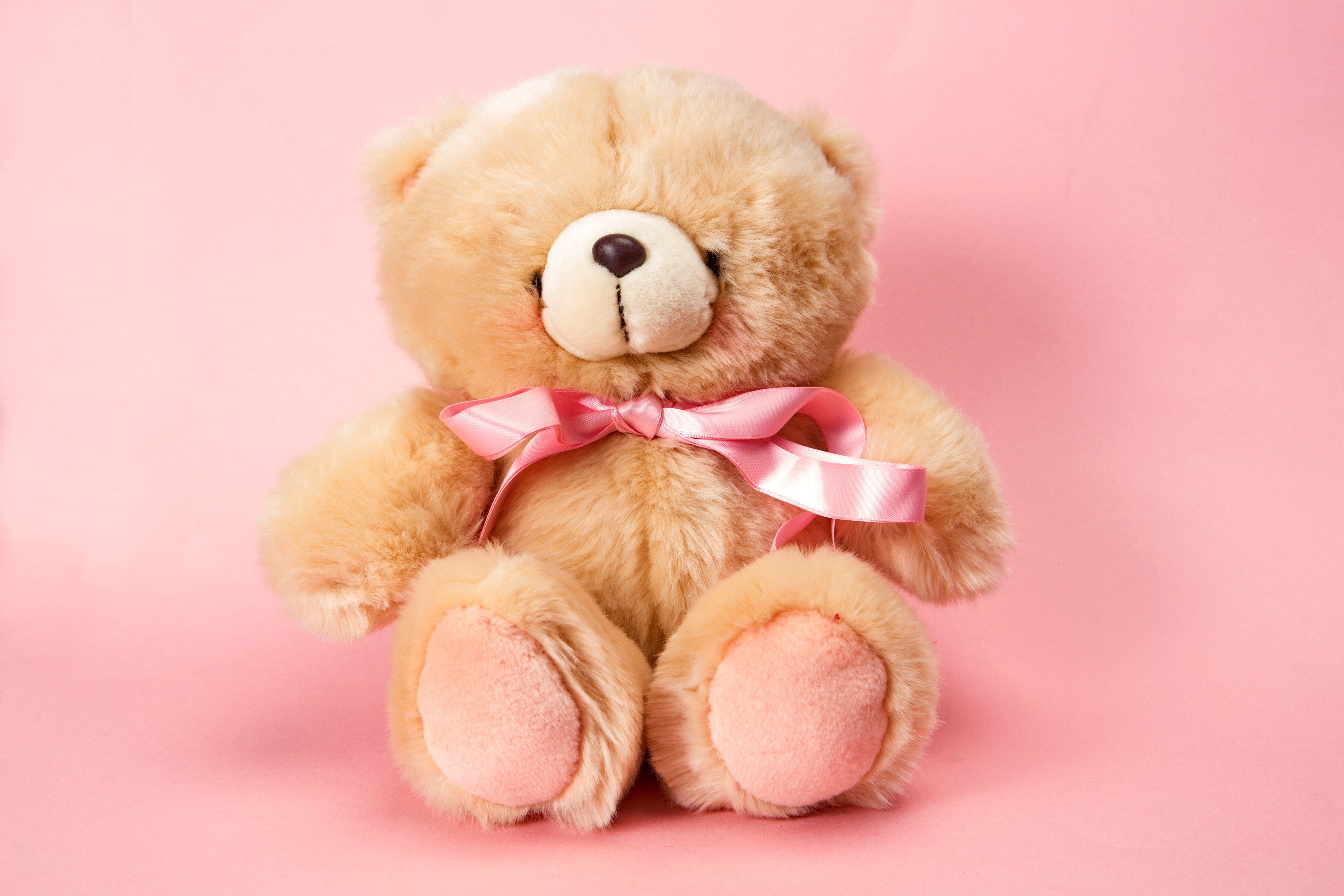 rosa teddybär tapete,plüschtier,teddybär,rosa,spielzeug,plüsch