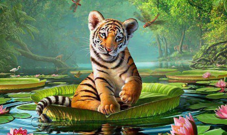 animals wallpaper hd free download,tiger,vertebrate,wildlife,bengal tiger,mammal